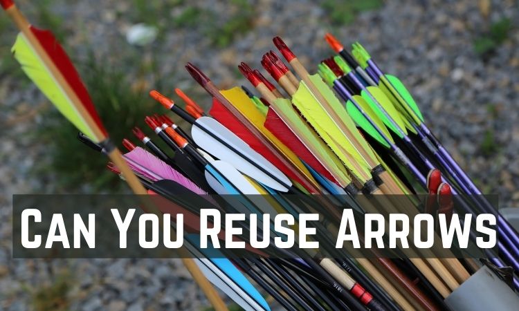 Can You Reuse Arrows?
