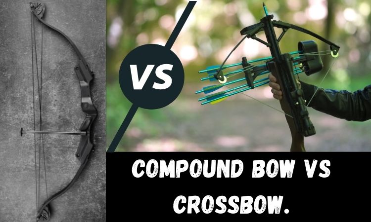 compound crossbow vs crossbow