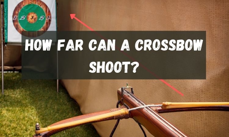 How Far Can a Crossbow Shoot
