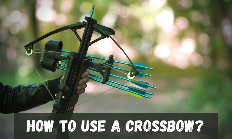 How-To-Use-A-Crossbow
