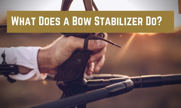 What-Does-a-Bow-Stabilizer-Do_-.jpg