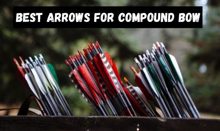 Best Arrows for Compound Bow