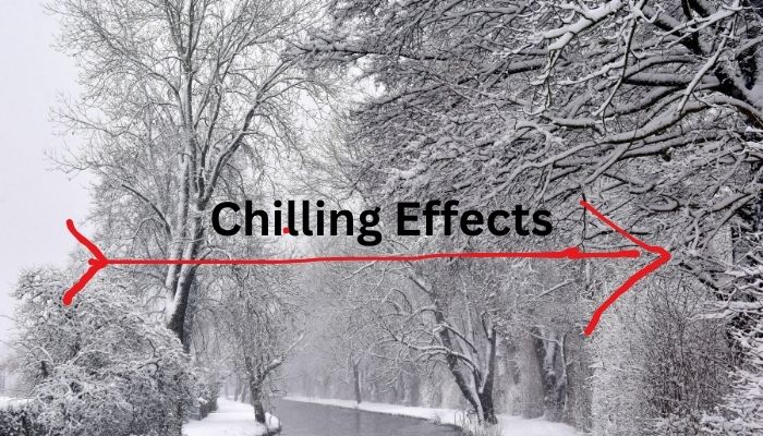Chilling Effects