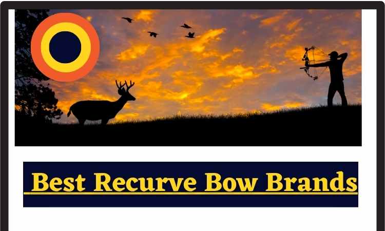 12 Power-Packed Best Recurve Bow Brands for Dominating Your Archery Game
