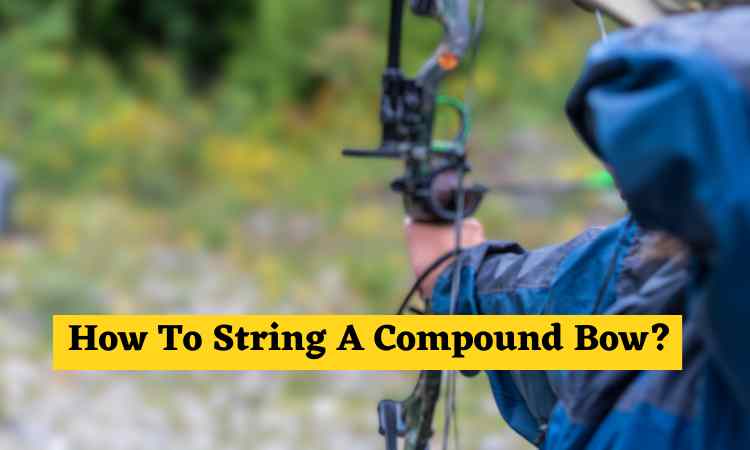 How To String A Compound Bow? (A Quickstar Guide)