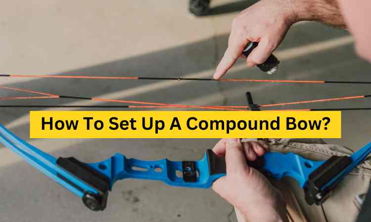 How To Set Up A Compound Bow?