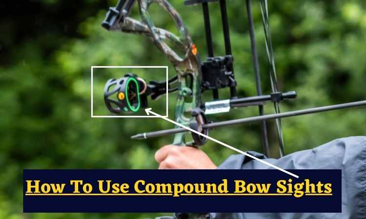 How To Use Compound Bow Sights