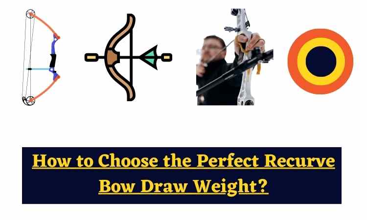 How to Choose the Perfect Recurve Bow Draw Weight?