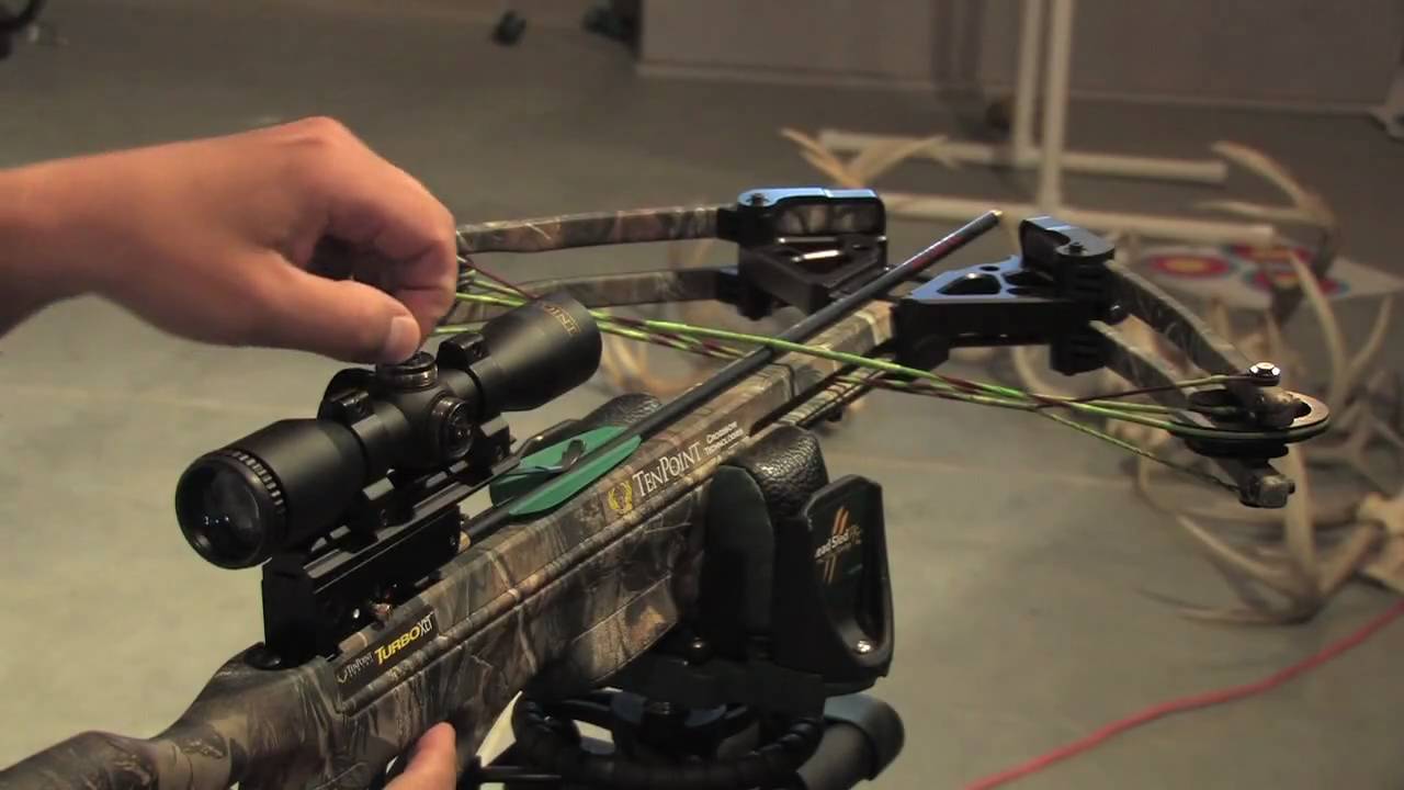 Can a Crossbow Be Bore-Sighted?