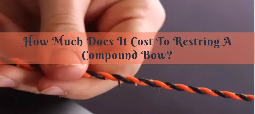 How Much Cost To Restring A Compound Bow?