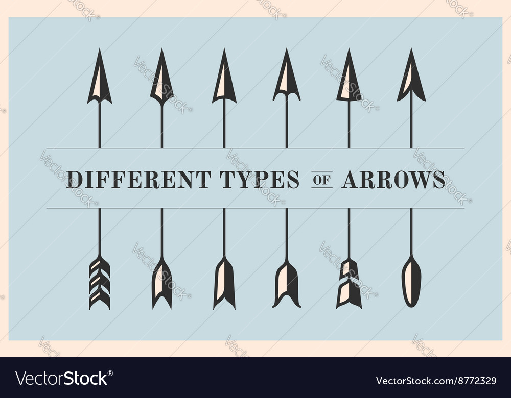 What Are Different Types of Arrows?