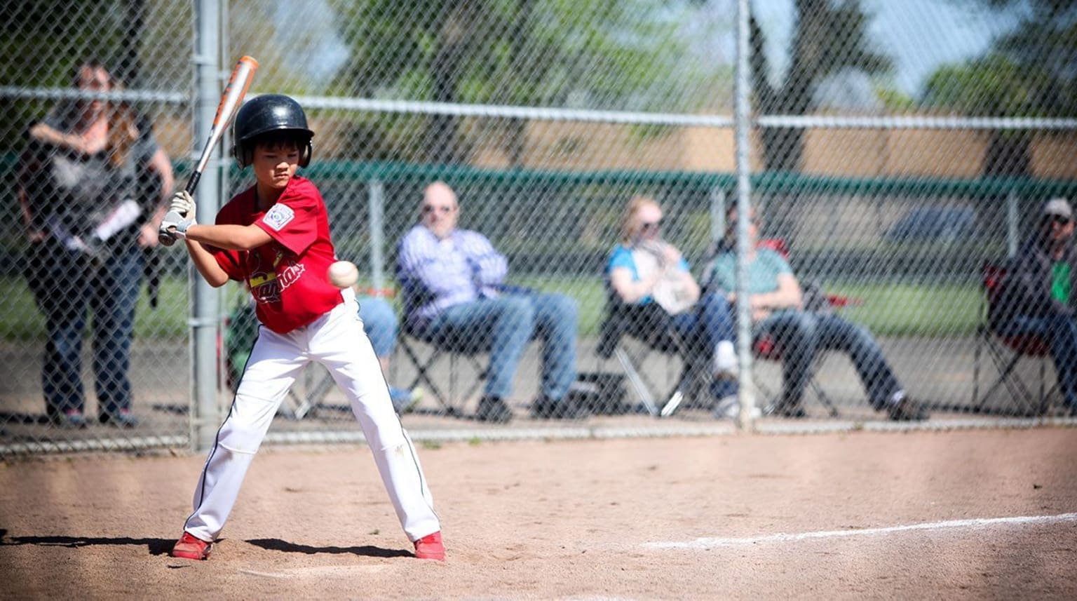 Can You Use Wooden Bats in Little League?